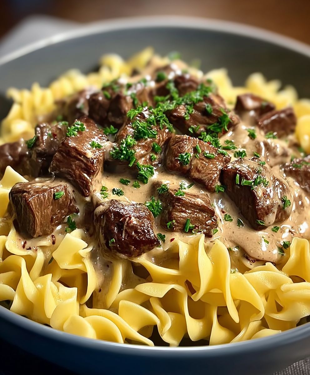Beef Stroganoff Egg Noodles